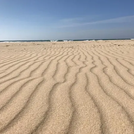 Chene Liege * 莫列马阿