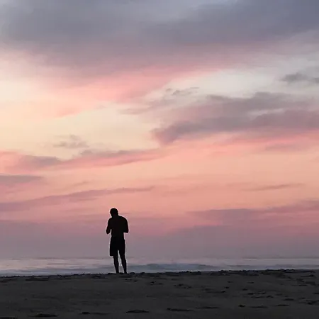 Chene Liege * 莫列马阿