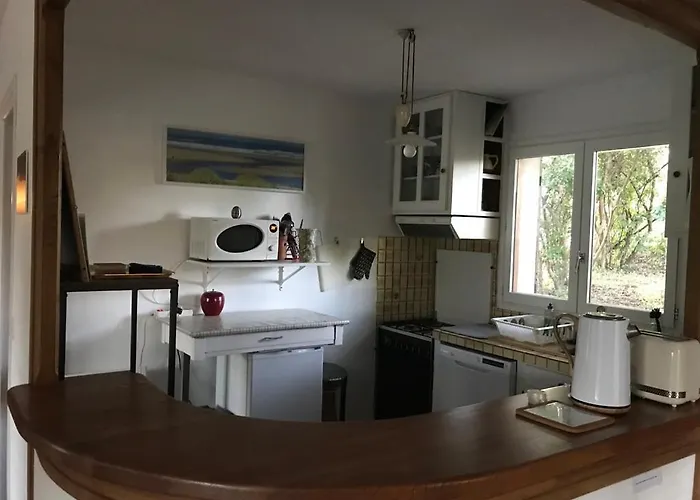 Chene Liege Moliets-et-Maa