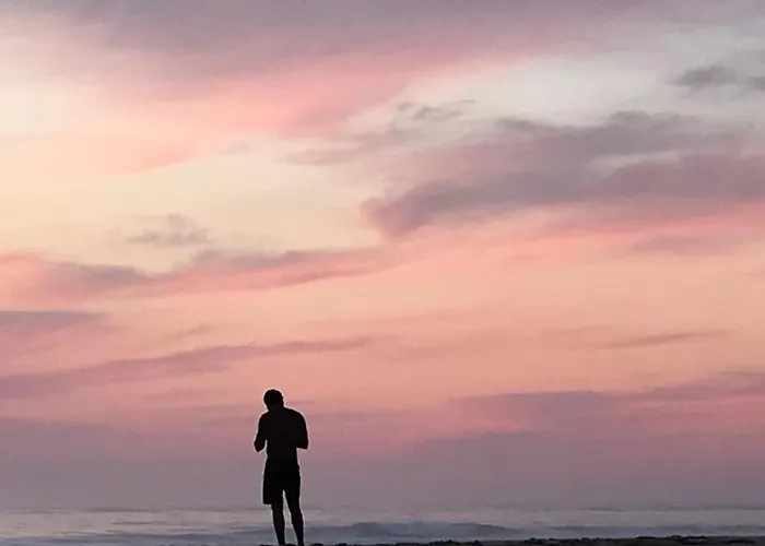 Chene Liege * Moliets-et-Maa