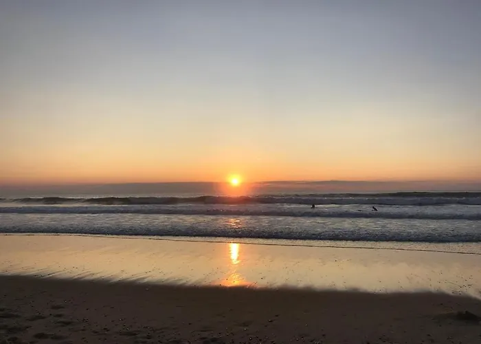 Holiday home Chene Liege Moliets-et-Maa